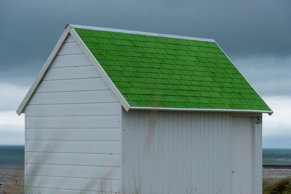 Comment organiser un camping pour observer les baleines en Islande?